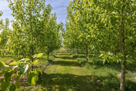 Photo of property in 304 Stokes Road, Balcairn, Amberley, 7481