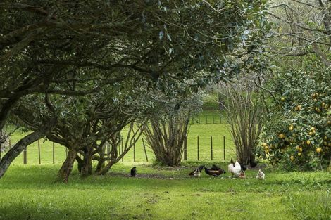 Photo of property in 100 Brewster Road, Pukekawa, Tuakau, 2696