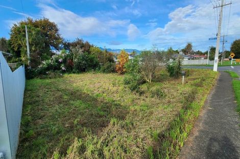 Photo of property in 8 Roslyn Road, Levin, 5510