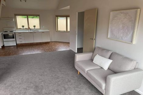 Photo of property in 209c Killarney Road, Frankton, Hamilton, 3204