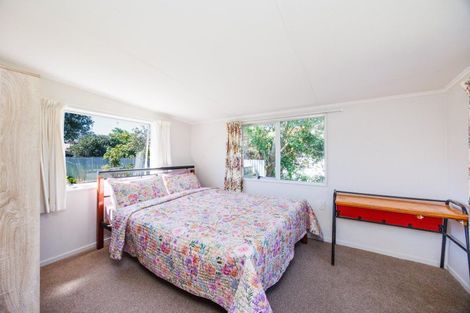 Photo of property in 125 Limbrick Street, Terrace End, Palmerston North, 4410
