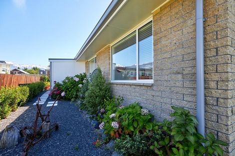 Photo of property in 234c Beach Road, Kaikoura, 7300