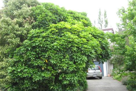 Photo of property in 52 Voelas Road, Lyttelton, 8082