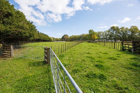 Photo of property in 846 Colyton Road, Bunnythorpe, Feilding, 4775