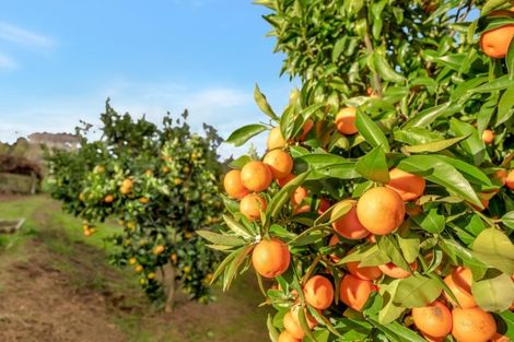 Photo of property in 31 Midland Lane, Aongatete, Katikati, 3181