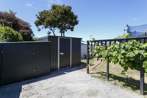 Photo of property in 25 Olive Avenue, Nukuhau, Taupo, 3330