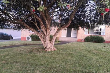 Photo of property in 6 Garden Terrace, Pukekohe, 2120