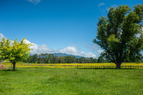 Photo of property in 221 Pokuru Factory Road, Pokuru, Te Awamutu, 3875