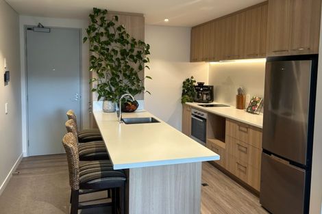 Photo of property in Toru Apartments, 305/10 Copper Beech Avenue, Frankton, Queenstown, 9300