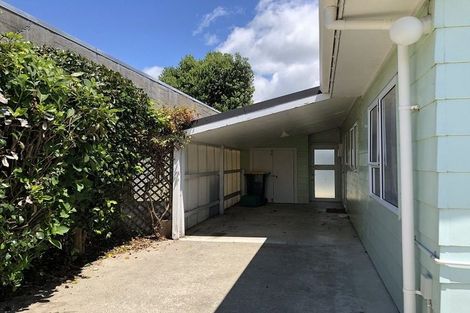 Photo of property in 38a Saint Annes Street, Levin, 5510