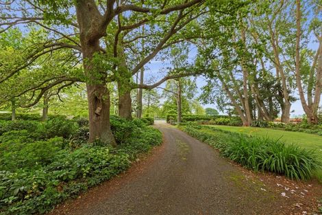 Photo of property in 253 Kaipaki Road, Ohaupo, 3881