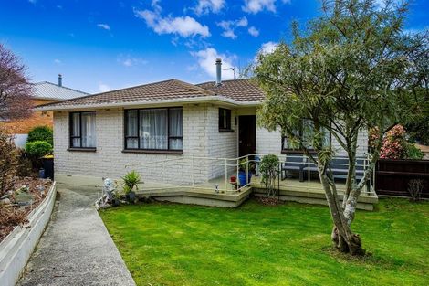 Photo of property in 12 Salisbury Road, Bradford, Dunedin, 9011