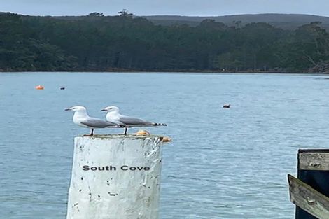 Photo of property in 19 Woods Ridge Road, Kawau Island, 0920