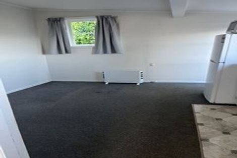 Photo of property in 45 Apuka Street, Brooklyn, Wellington, 6021