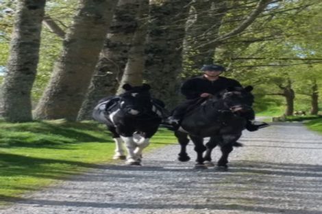 Photo of property in 33 Link Road, Wairakei, Taupo, 3384