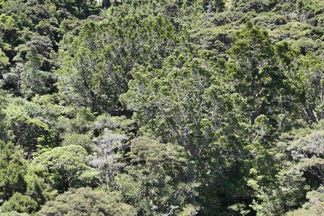 Photo of property in 113a Taemaro Road, Hihi, Mangonui, 0494