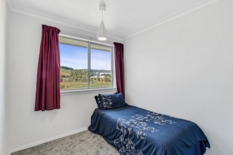 Photo of property in 24 Fitzgerald Street, Whitecliffs, Coalgate, 7673