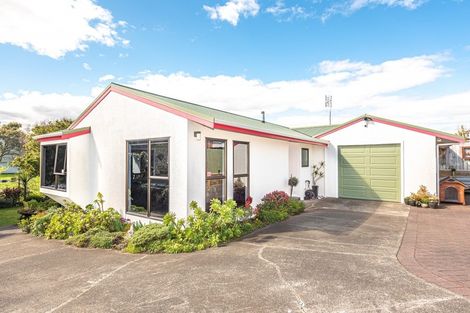 Photo of property in 38a Toi Street, Tawhero, Whanganui, 4501