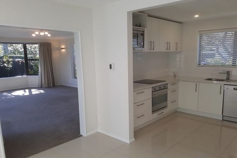 Photo of property in 17 Norfolk Street, St Albans, Christchurch, 8052