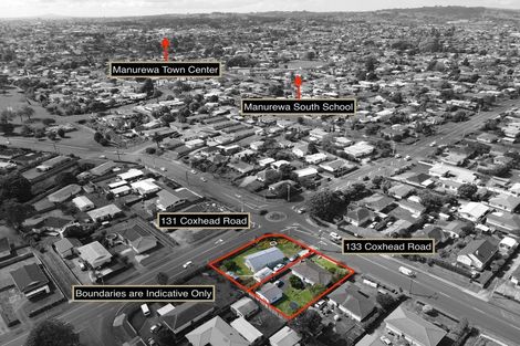 Photo of property in 133 Coxhead Road, Wattle Downs, Auckland, 2103