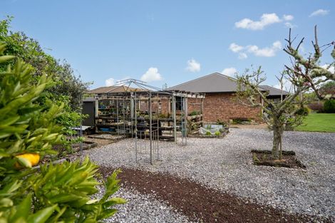 Photo of property in 8 Grace Avenue, Leamington, Cambridge, 3432