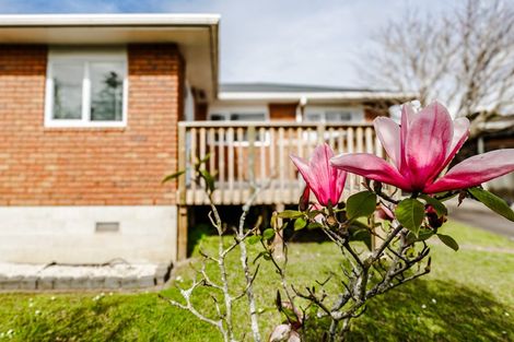 Photo of property in 62 Pomaria Road, Henderson, Auckland, 0610