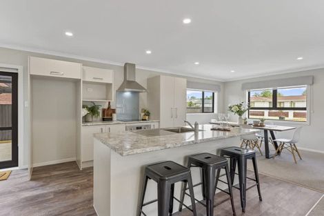 Photo of property in 15a Freyberg Street, Feilding, 4702