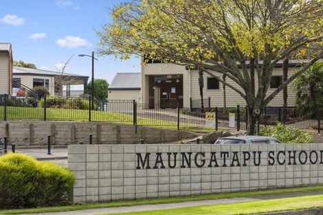 Photo of property in 226 Maungatapu Road, Maungatapu, Tauranga, 3112