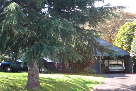 Photo of property in 100 Haukore Street, Hairini, Tauranga, 3112