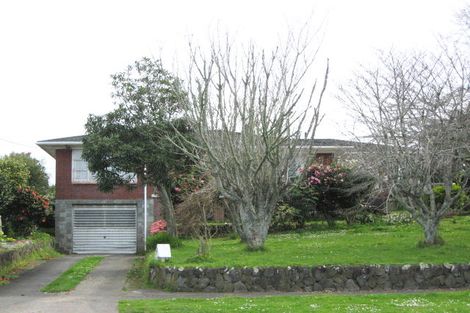 Photo of property in 93 Centennial Avenue, Waitara, 4320