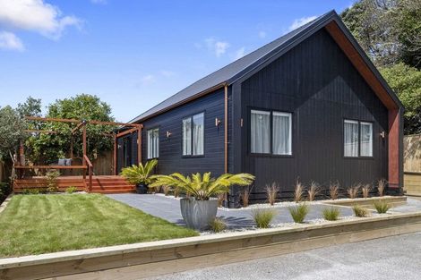 Photo of property in 47a Mangorei Road, Strandon, New Plymouth, 4312