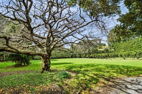 Photo of property in 15b Redwood Lane, Tauriko, Tauranga, 3171