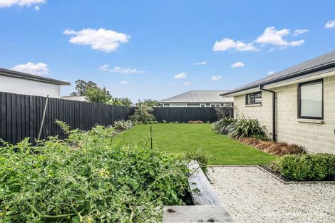 Photo of property in 102 Petries Road, Woodend, 7610