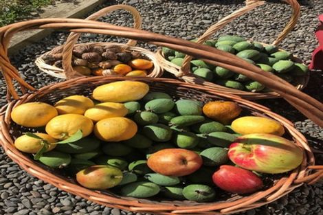 Photo of property in 466 Jeffersons Line, Marton, 4788