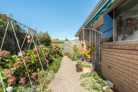 Photo of property in 15 Chamberlain Place, Mount Maunganui, 3116