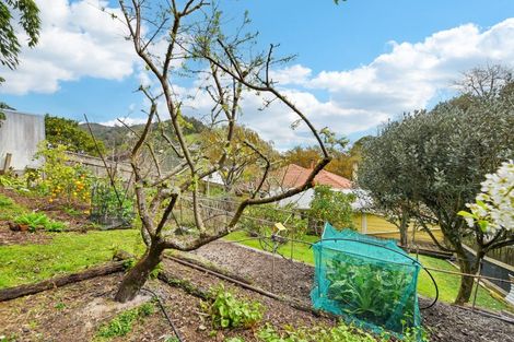 Photo of property in 1 Charlotte Street, The Brook, Nelson, 7010