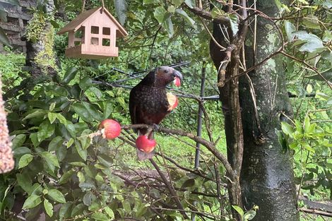 Photo of property in 5/31 Plunket Street, Kelburn, Wellington, 6012