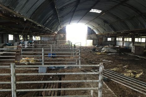 Photo of property in 181 Chamberlain Road, Te Awamutu, 3879