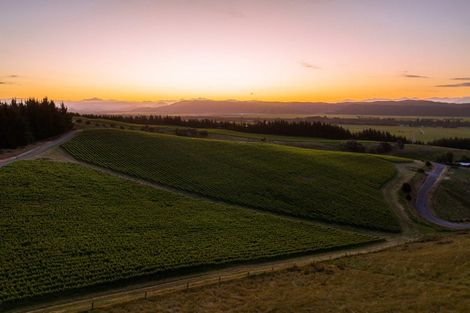 Photo of property in 417 Delta Lake Heights, Renwick, Blenheim, 7271