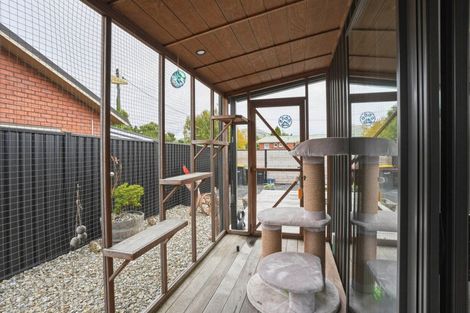 Photo of property in 12 Fell Street, Waikouaiti, 9510