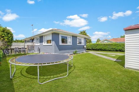 Photo of property in 38 Winstone Avenue, Chartwell, Hamilton, 3210