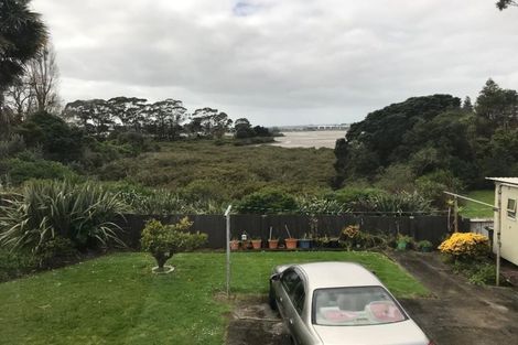 Photo of property in 17 Mataroa Road, Mount Wellington, Auckland, 1062