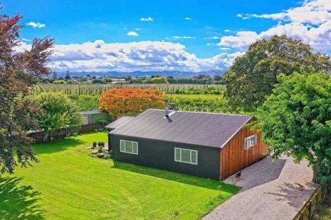 Photo of property in 134 Kaimoe Road, Patutahi, Gisborne, 4072