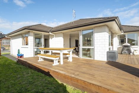 Photo of property in 91 Bert Wall Drive, Omokoroa, 3114