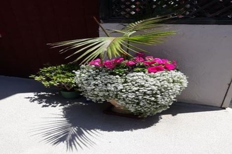 Photo of property in 7b/66 Mount Eden Road, Mount Eden, Auckland, 1024