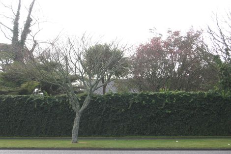 Photo of property in 104 Galloway Street, Hamilton East, Hamilton, 3216