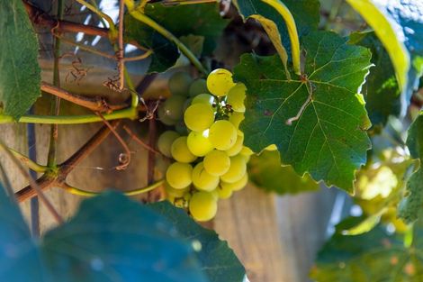 Photo of property in 174 Doncaster Drive, Papamoa Beach, Papamoa, 3118