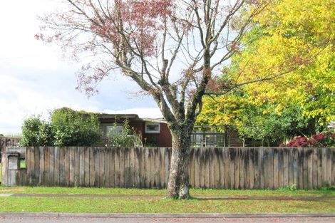 Photo of property in 23 Arthur Street, Tokoroa, 3420