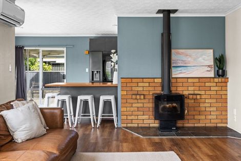 Photo of property in 53 Auckland Road, Greenmeadows, Napier, 4112