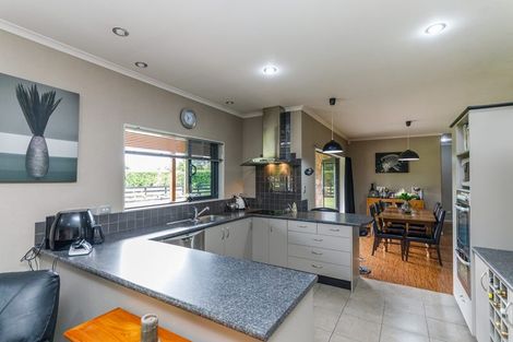 Photo of property in 38 Brandon Hall Road, Bulls, 4894